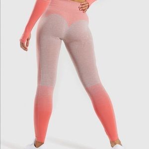 Gym shark celestial bodiez bombshell